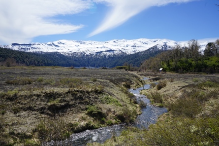 Parc national Conguillío, Chili